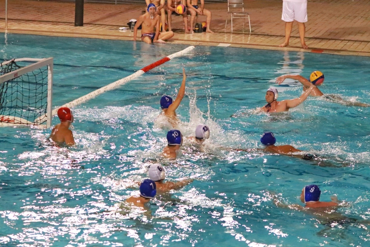IHL waterpolo_action2.jpg